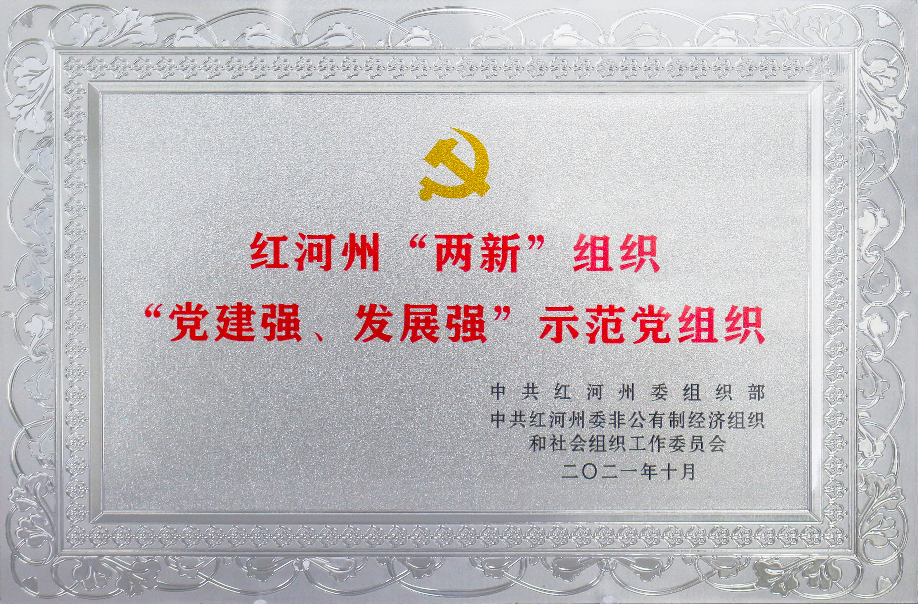 紅河州兩新黨組織“黨建強(qiáng)·發(fā)展強(qiáng)”示范黨組織
